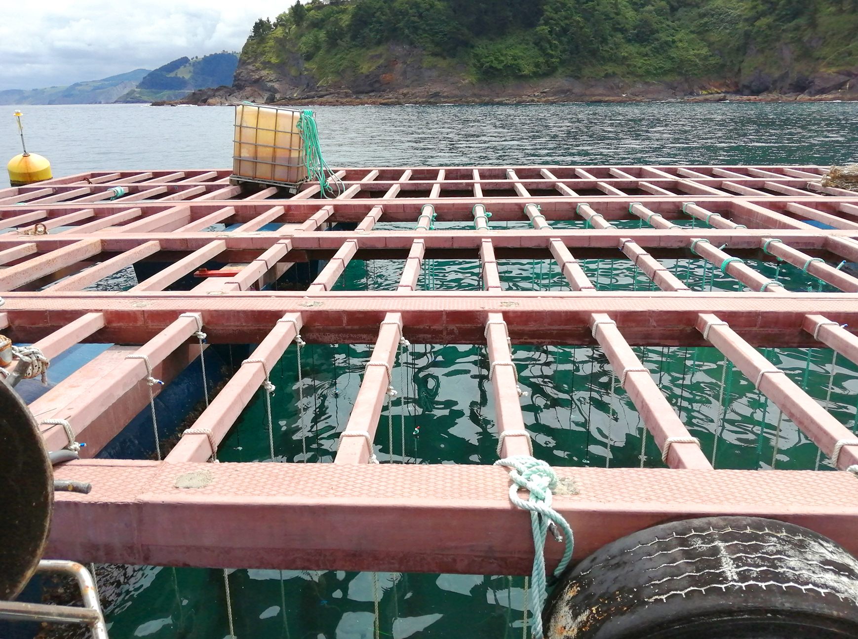 Biobasierte Seile versprechen Vorteile für die umweltfreundliche Aquakultur