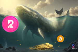 Bitcoin News: BTC Whales Since The Recent High Have Purchased $1.8 Billion, And RenQ Finance (RENQ) Reaches The Last Stage of Its Presale