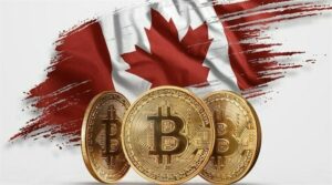 Canada verslaat VS, VK en China in aantal Gen Z-investeerders: FINRA