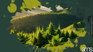 Cannabis in der Tschechischen Republik: Eine lebendige Kultur und eine vielversprechende Zukunft