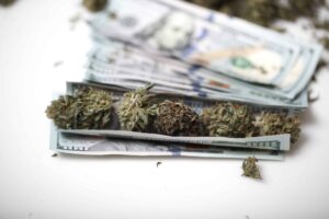 Kannabisteollisuus maksoi 1.8 miljardia dollaria ylimääräisiä veroja vuonna 2022
