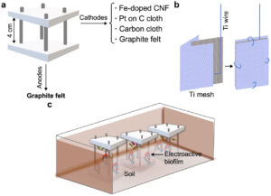 Carbon-based cathodes impact biofilm composition and performance in soil microbial fuel cells