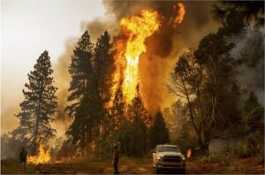 Las emisiones de carbono causan casi el 40% de los incendios forestales en el oeste