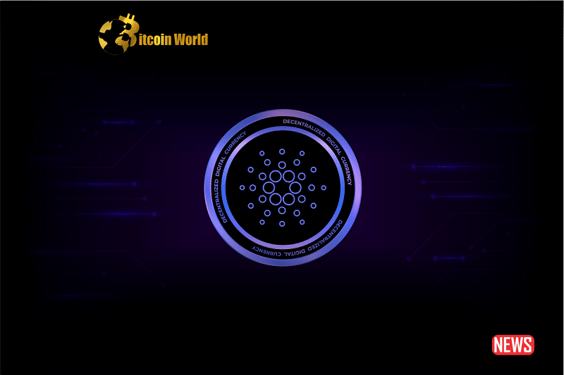 Cardano’s Stats are Well and Good, but What About ADA? - BitcoinWorld