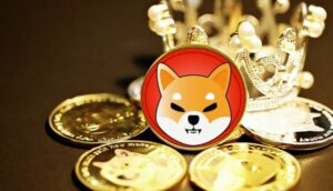 CoinMena Menambahkan Dukungan Untuk Token Shiba Inu - Bitcoinik