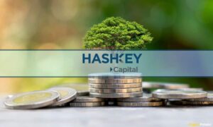 קרן ההשקעות Crypto HashKey במגעים לגיוס של 200 מיליון דולר לפי שווי של מיליארד דולר (דוח)