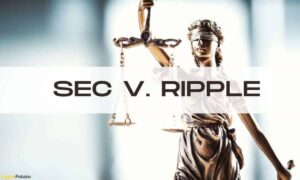 Crypto Lawyer, SEC의 Ripple 소송 사건이 진행됨에 따라 폭파