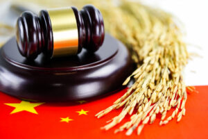 Kryptowährungen können zur Schuldenregulierung in China verwendet werden: Supreme Court