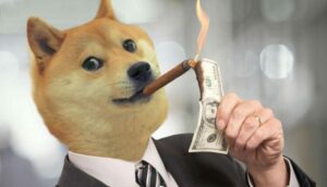 Daily Transactions On The Doge Network Hits Record High Because Of "Doginals" - Bitcoinik
