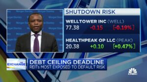Het in gebreke blijven van schulden zou REIT's schaden door blootstelling aan de overheid, zegt Ron Kamdem van Morgan Stanley