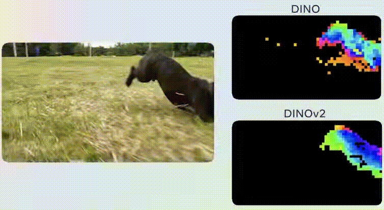 DINOv2: Αυτο-εποπτευόμενα μοντέλα όρασης υπολογιστή από τη Meta AI