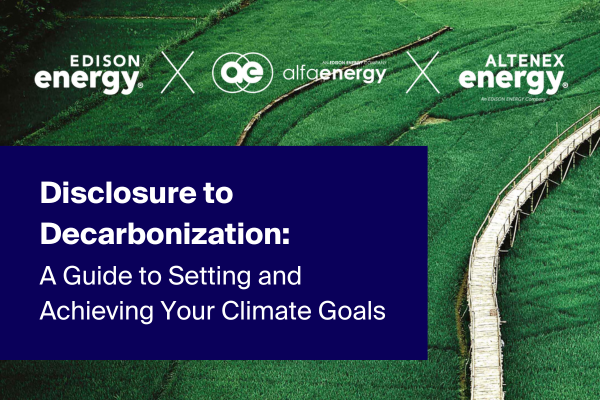 Disclosure to Decarbonization: En guide til å sette og oppnå dine klimamål
