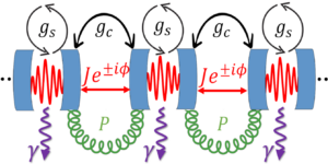 Fases topológicas dissipativas dirigidas em arrays de ressonadores paramétricos