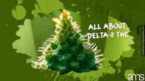 Delta-8 THC 탐색: 잠재력 및 과대 광고 공개