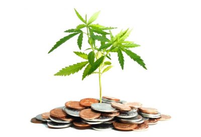 state-run cannabis industry