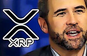 Garlinghouse está feliz com o apoio insano dos apoiadores do XRP, apesar do processo do XRP