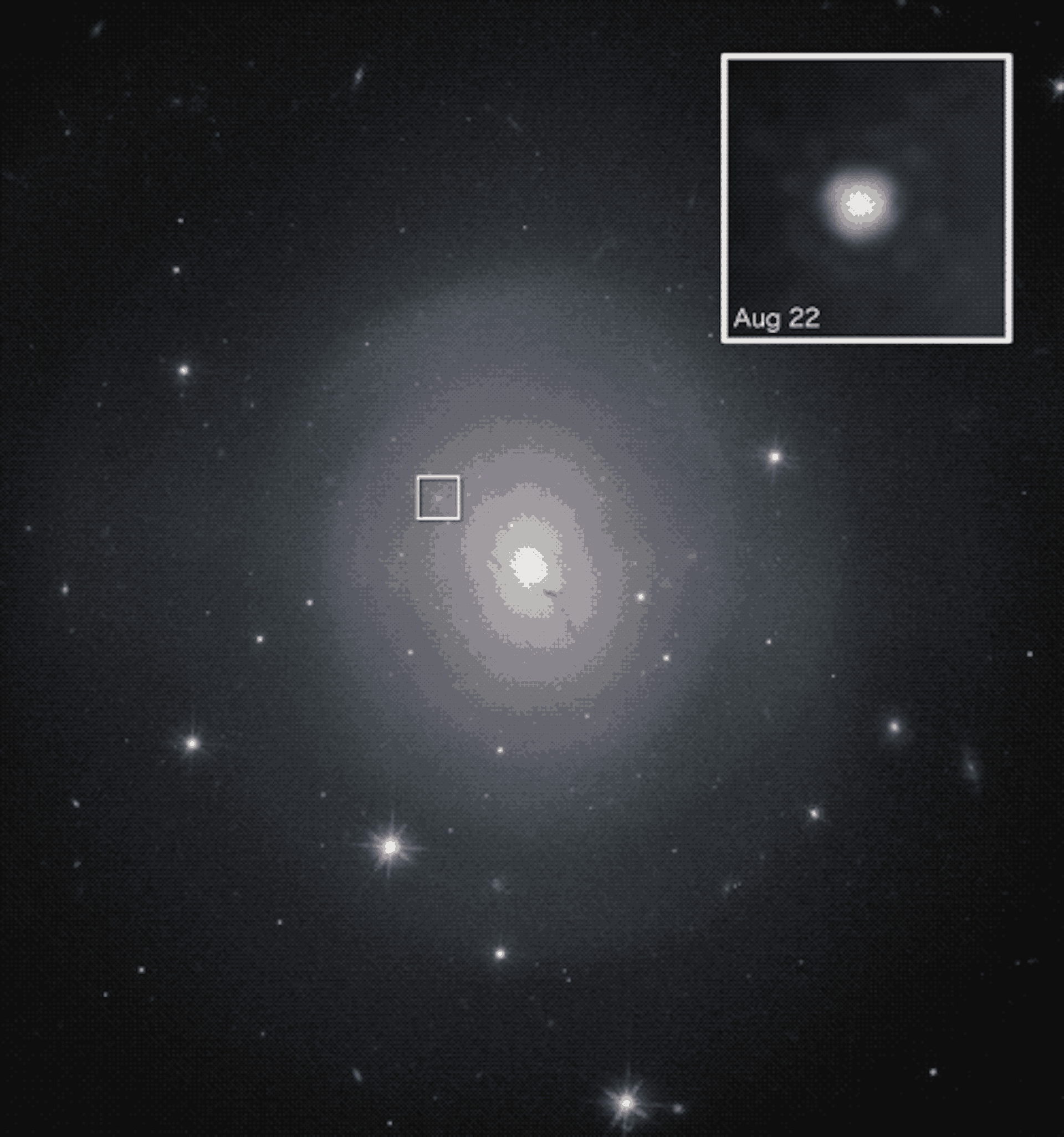 صورة GIF تعرض نجمًا ساطعًا على مدار أيام قليلة.