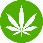 Prihodki Green Thumba rastejo, ko vse več zveznih držav ZDA dovoljuje uporabo marihuane