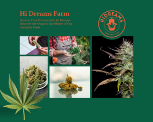 Poberite svoje sanje s kmetijo Hi Dreams: odkrijte ekološko odličnost