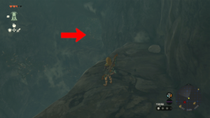 Hebra South Summit Cave Frog Location in Tears of the Kingdom