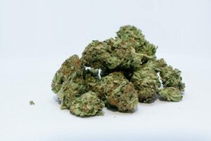 How Can Digital Marketing Help You Find Great Deals On Bulk Weed In Canada?