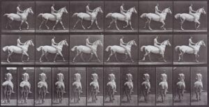 How Digital Artist 0xDEAFBEEF’s New NFT Project Reimagines Muybridge’s 19th-Century Motion Studies for the Blockchain