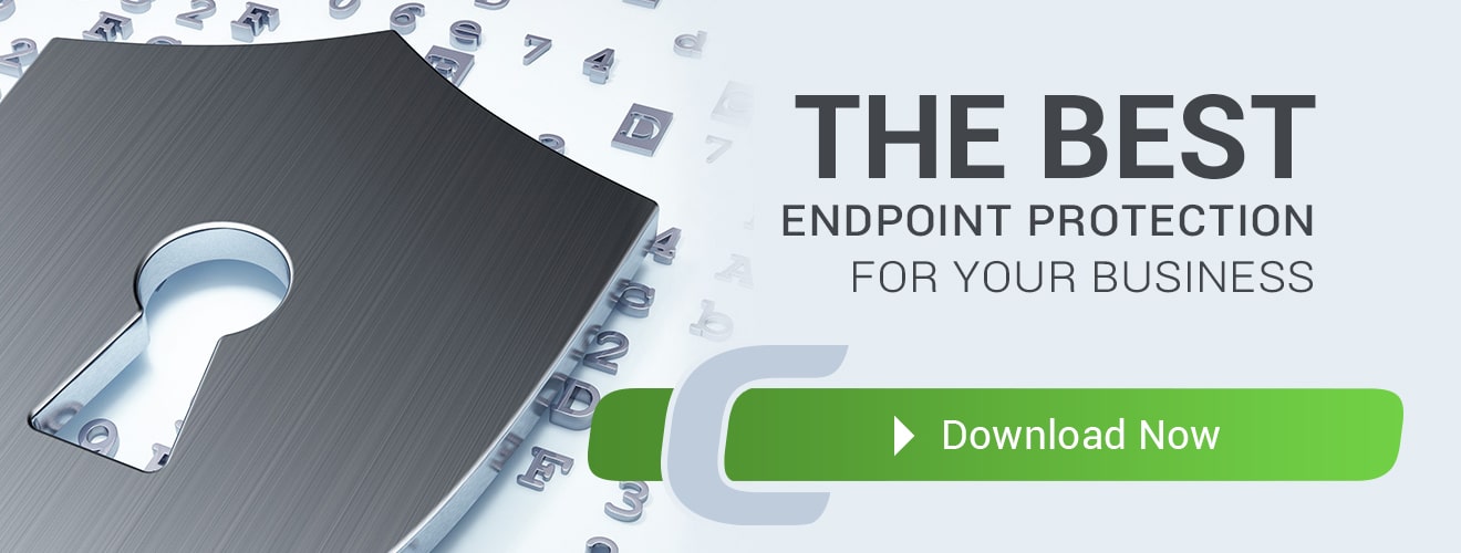 Endpoint protection
