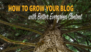 Cách phát triển blog của bạn với nội dung thường xanh tốt hơn