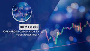 How To Use A Forex Profit Calculator To Your Advantage? - BuyUcoin Blog