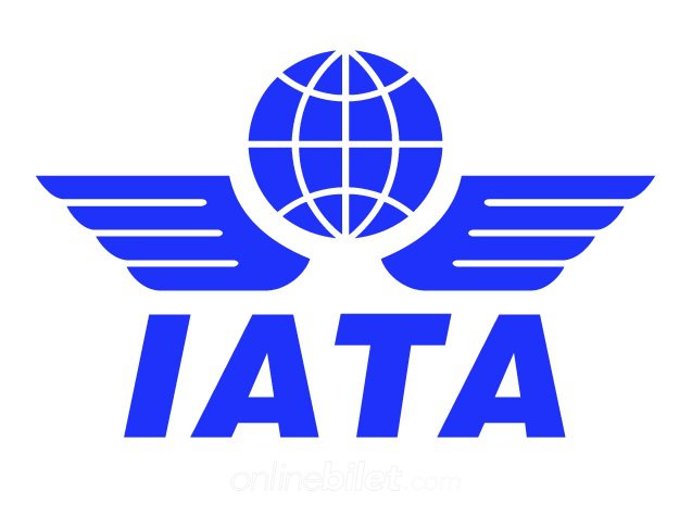 Geliştiriciler için IATA Havaalanı Kodları Veritabanı - Havacılık veritabanı ve API