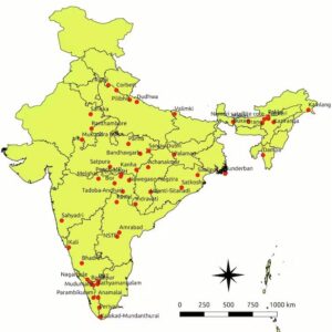 ভারতের বাঘ সুরক্ষা 1M টন CO2 নির্গমন এড়ায়