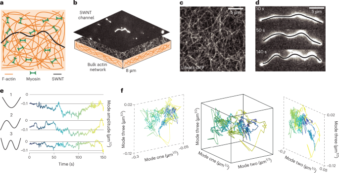 Karbon nanotüpler kullanılarak ölçeğe bağlı denge dışı aktivite çıkarımı