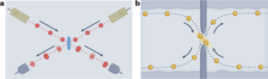 Des électrons en interaction entrent en collision sur un séparateur de faisceau