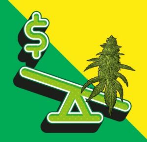 Est-il bon ou mauvais que les prix du cannabis continuent de baisser comme une pierre ?
