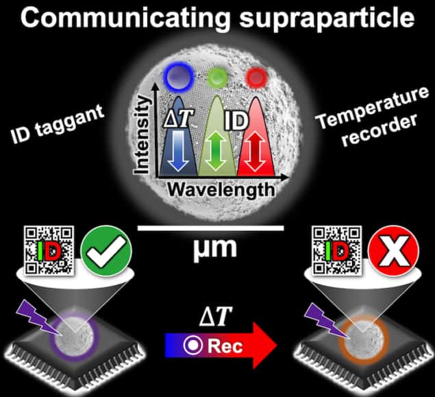 Illustration of the communicating supraparticle