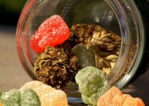 Mange ulovlige cannabisprodukter viser høje niveauer af pesticider - Cannabis-virksomhedskataloget