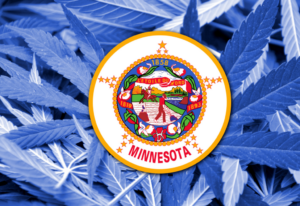 Minnesota Cannabis? You Betcha!