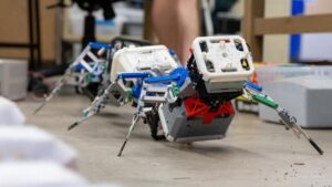 Mehrbeinige Roboter kriechen über unwegsames Gelände und bauen Häuser aus gebrauchten Windeln – Physics World