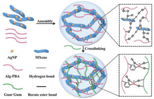 MXene hydrogel-based antibacterial epidermic sensors