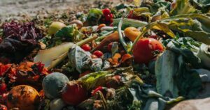 Menavigasi peraturan limbah makanan: Panduan untuk bisnis | Bisnis Hijau