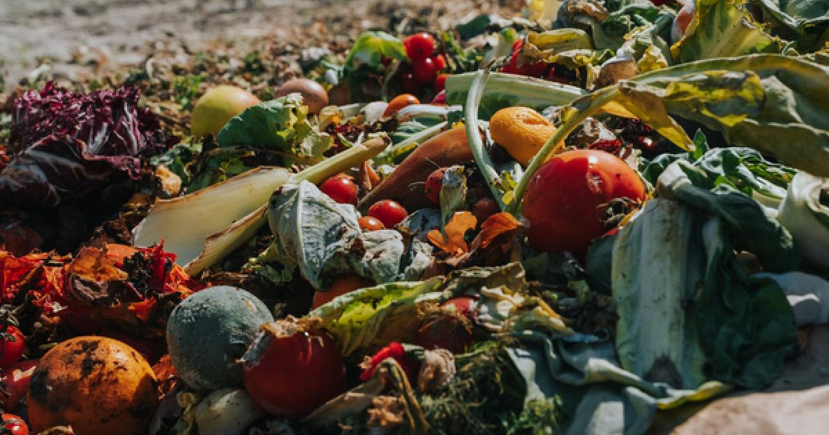 Navigating food waste regulations: A guide for businesses | GreenBiz