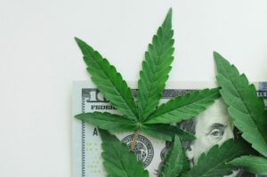 Νέα έκθεση από το έργο πολιτικής για τη μαριχουάνα εξετάζει τα οκτώ χρόνια φορολογικών εσόδων από την κάνναβη