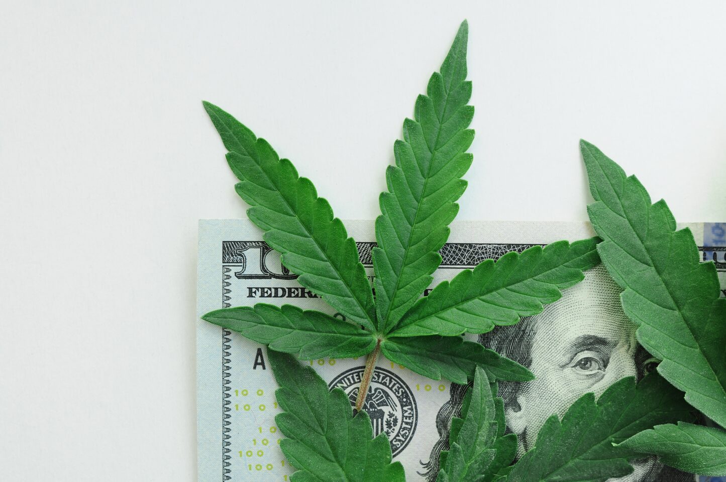 Νέα έκθεση από το έργο πολιτικής για τη μαριχουάνα εξετάζει τα οκτώ χρόνια φορολογικών εσόδων από την κάνναβη