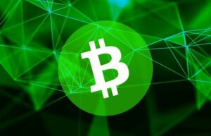 Ahora la gente puede acuñar nuevos tokens en la red Bitcoin Cash (BCH) - Bitcoinik