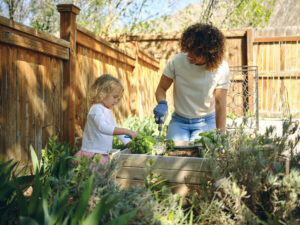 Plantar, cultivar, cosechar: su guía para comenzar un huerto en su hogar