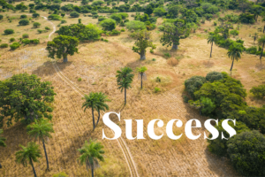 Preventing desertification: Top 5 success stories