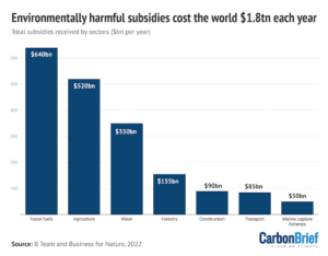 P&R: Como os países podem interromper os subsídios que prejudicam a biodiversidade? - Resumo de Carbono