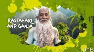 Rastafari og Ganja: Understanding the Wisdom Weed