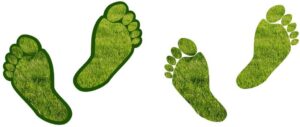 Reducer dit kulstofaftryk: Praktiske tips til en bæredygtig og god livsstil