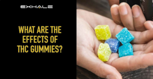 Подивіться, чому люди віддають перевагу жуйкам THC Gummies над CBD